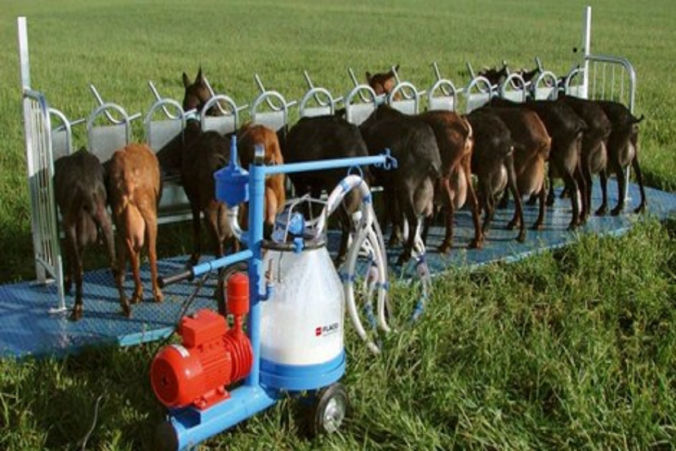 Máquinas de Ordeño para cabras