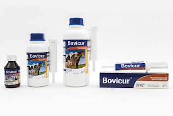 Bovicur - Antiparasitario Interno